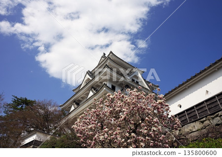 春天自治市鎮 135800600