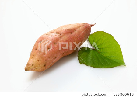 新鮮收穫的紅薯（Annoimo） 135800616