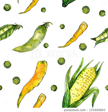 Watercolor vegetables. Pattern. Carrots, corn, peas. Suitable for creating textiles, design and packaging of goods. 135800665