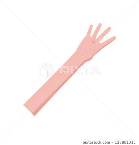 Flat human hand gesture. Bare palm with four fingers up and open. Minimalistic hand pose counting number four. Gesture shows light skin tone, isolated on white background, simple style, can be used 135801315