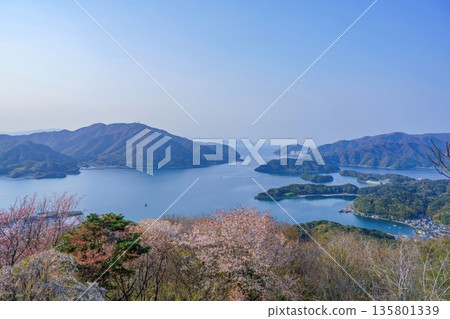 從觀景台上可以俯瞰舞鶴灣全景,還能看到盛開的櫻花,象徵日本的春天。 從觀景台上可以俯瞰舞鶴灣全景,還能看到盛開的櫻花,象徵日本的春天。 135801339