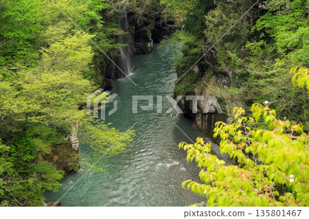 Fresh green valley 135801467