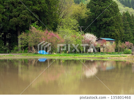 Spring landscape 135801468