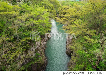 Fresh green valley 135801469