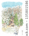 Winter landscape, watercolor illustration of Musashino forest and path 135801586