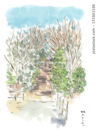 冬季景色，武藏野森林和小徑的水彩插畫 135801586