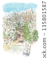 Winter landscape, watercolor illustration of Musashino forest and path 135801587