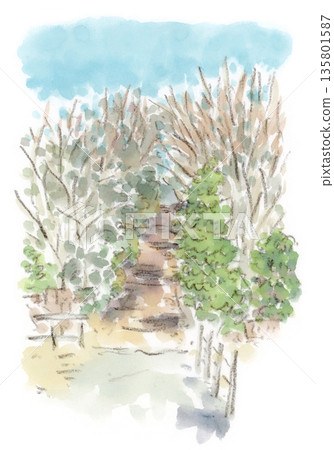 冬季景色，武藏野森林和小徑的水彩插畫 135801587