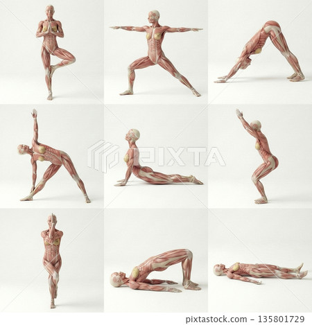 女性做瑜珈的9個姿勢 135801729