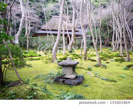 Gio-ji Temple Mossy Garden Gio-ji Temple Mossy Garden 135801864