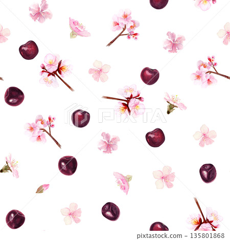 Seamless pattern with small cherry branches, blossom flowers, single petals and ripe cherries, hand painted watercolor illustration isolated on white background, spring design for textiles decor use Seamless pattern with small cherry branches, blossom flowers, single petals and ripe cherries, hand painted watercolor illustration isolated on white background, spring design for textiles decor use 135801868