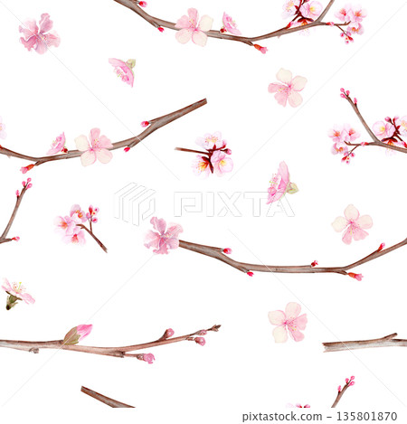 Seamless pattern with cherry blossom flowers and branches, hand painted watercolor illustration isolated on white background, botanical spring design for textiles, packaging, wallpaper and surfaces 135801870