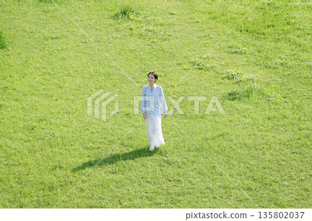 Aerial view of a woman walking in the fields Aerial view of a woman walking in the fields 135802037
