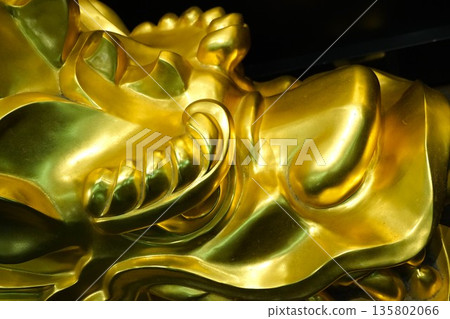 金瓦屋頂 135802066