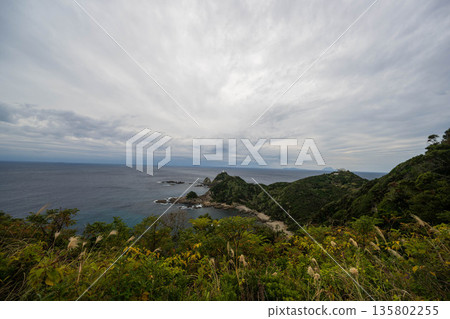 從佐田岬公園的觀景台上看到的海景 135802255