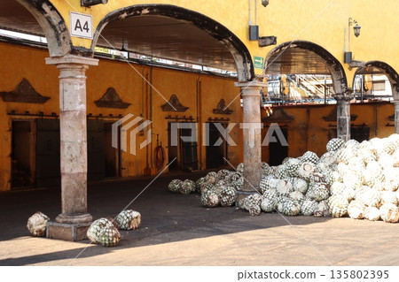 Mexican tequila distilleries 135802395