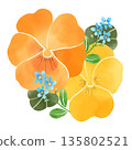 Watercolor style orange pansies and forget-me-nots decorative design 135802521