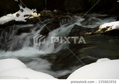 Under The Snow In A Winter Day Under The Snow In A Winter Day 135802858