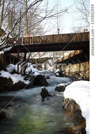 Under The Snow In A Winter Day Under The Snow In A Winter Day 135802859