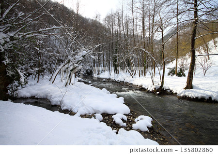 Under The Snow In A Winter Day Under The Snow In A Winter Day 135802860