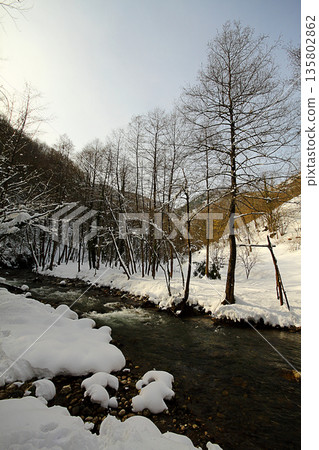 Under The Snow In A Winter Day Under The Snow In A Winter Day 135802862