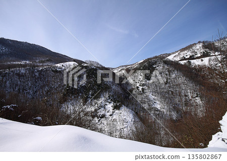 Under The Snow In A Winter Day Under The Snow In A Winter Day 135802867