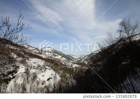 Under The Snow In A Winter Day Under The Snow In A Winter Day 135802878