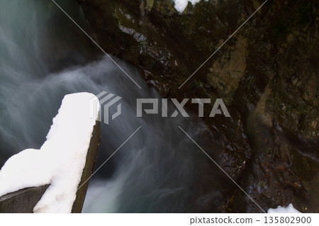 Under The Snow In A Winter Day Under The Snow In A Winter Day 135802900