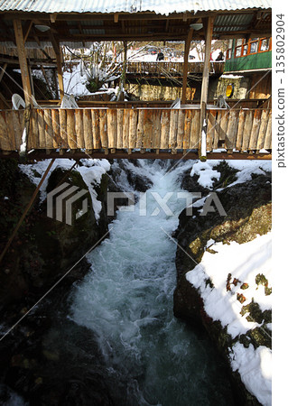 Under The Snow In A Winter Day Under The Snow In A Winter Day 135802904