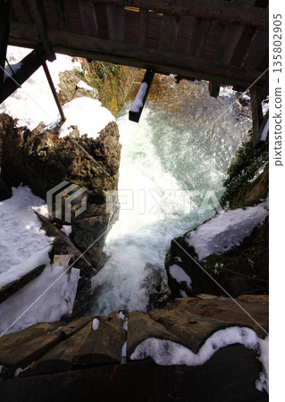 Under The Snow In A Winter Day Under The Snow In A Winter Day 135802905