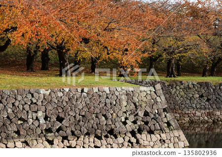 Goryokaku in late autumn with autumn leaves Goryokaku in late autumn with autumn leaves 135802936
