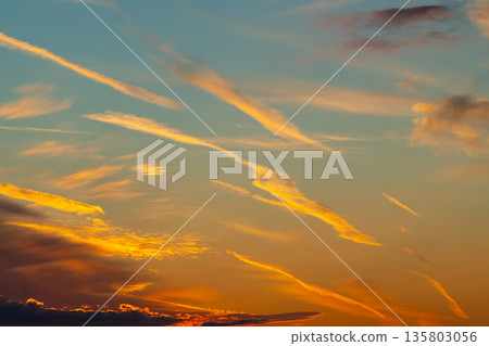Twilight sky with many contrails b-1 135803056