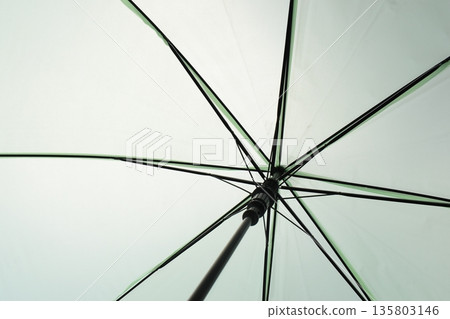 surface of open green umbrella background surface of open green umbrella background 135803146