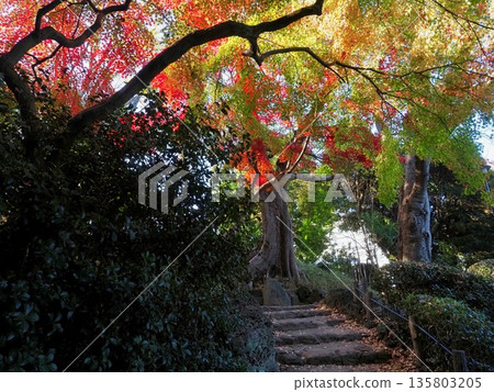 Arisugawa Palace Memorial Park Arisugawa Palace Memorial Park 135803205