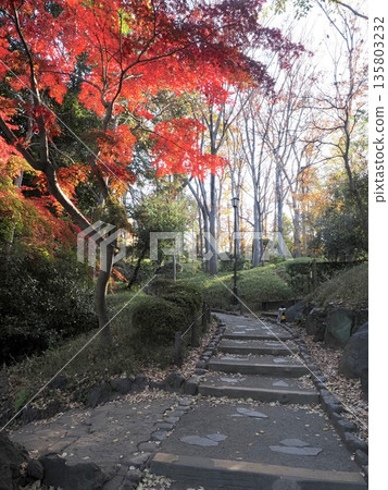 Arisugawa Palace Memorial Park Arisugawa Palace Memorial Park 135803232