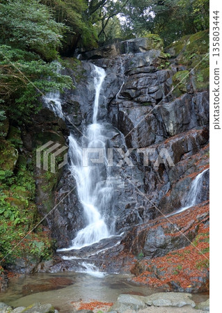 Nameless waterfall and the lingering scent of crimson Nameless waterfall and the lingering scent of crimson 135803444