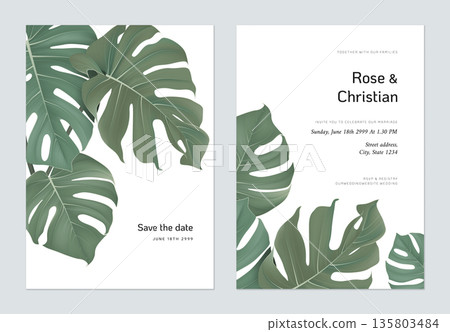 Foliage wedding invitation card template design, Split-leaf Philodendron on white 135803484