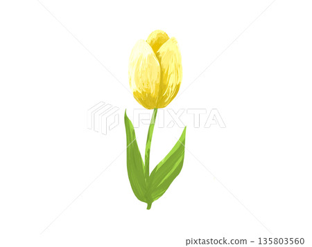 A single hand-painted yellow tulip 135803560