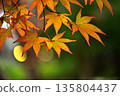 秋天的孤獨與美麗 秋天的孤獨與美麗 135804437