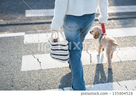 Dog walking 135804528