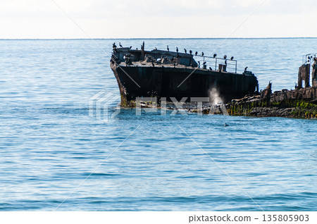 Wreck of the SS Palo Alto Wreck of the SS Palo Alto 135805903