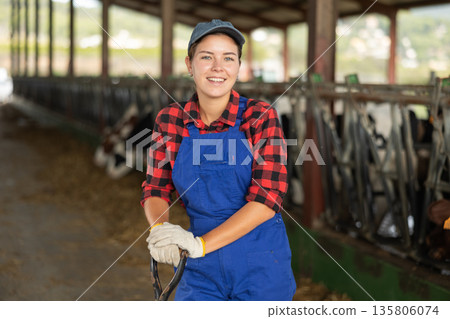 Young woman working with cows on farm 135806074