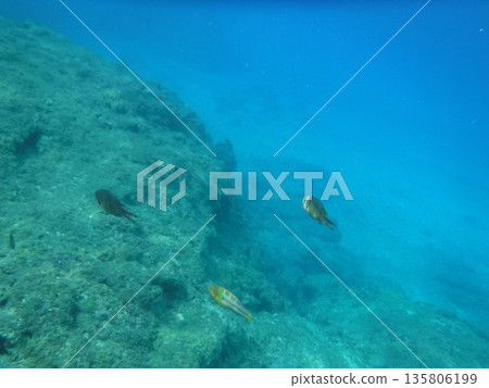 藍色的大海 藍色的大海 135806199