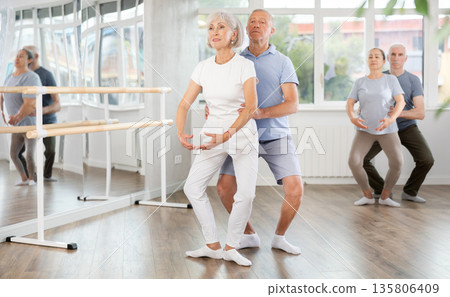 Active dancing mature pair engaged in group classes in studio perform demi plie pose in ballet studio Active dancing mature pair engaged in group classes in studio perform demi plie pose in ballet studio 135806409