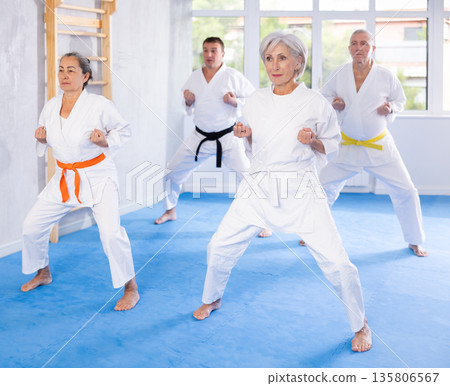 Senior students perform basic movements and repeat to hold pose, learning technique of kata Senior students perform basic movements and repeat to hold pose, learning technique of kata 135806567
