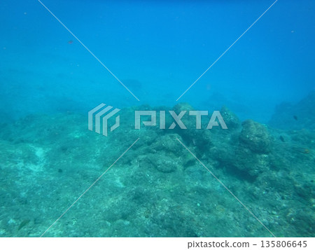 淺海底 135806645