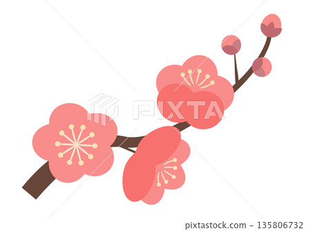 簡單的梅花枝_粉紅色 135806732