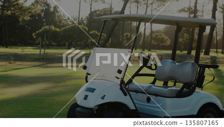 Resting white golf cart with canopy casting shadows on pine fairway under sunlight, copy space 135807165