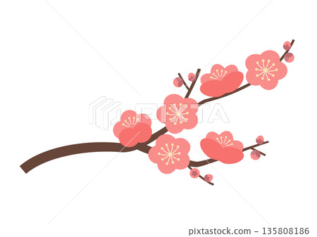 粉紅色梅花枝 135808186