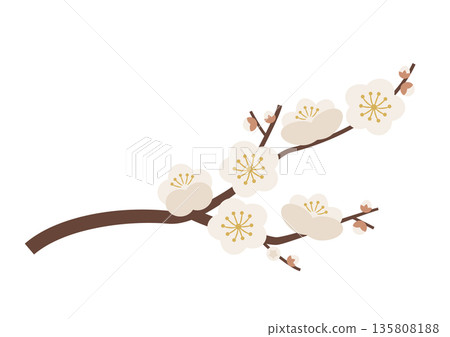 Plum blossom branch_white Plum blossom branch_white 135808188